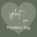 Mystery Tag