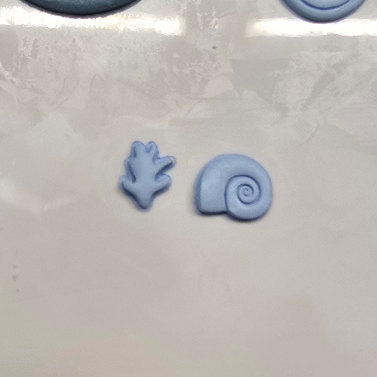 Under the sea