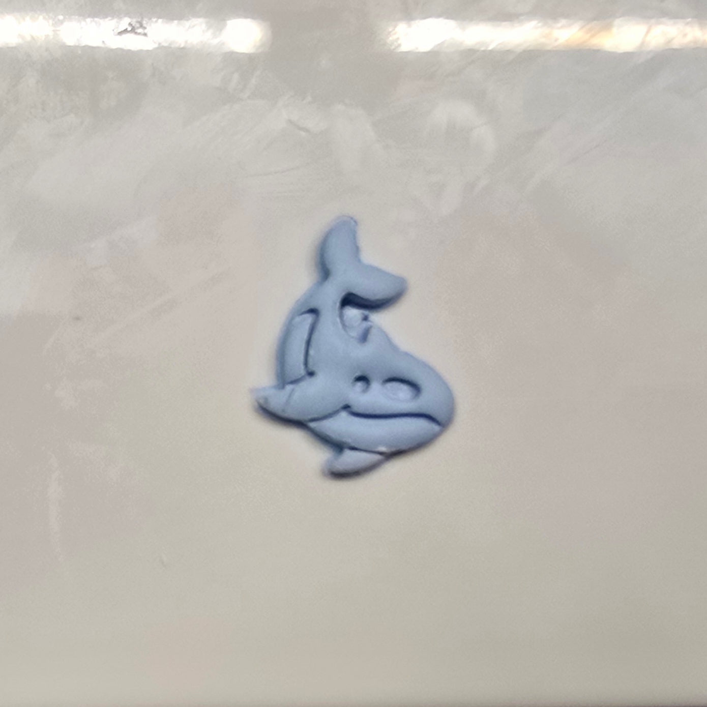 Under the sea