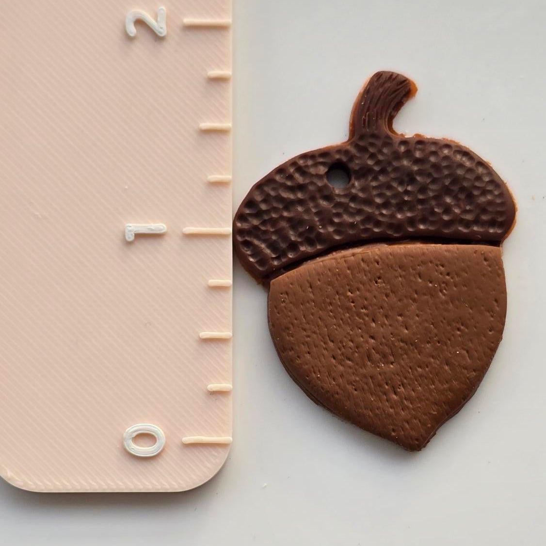 Acorn